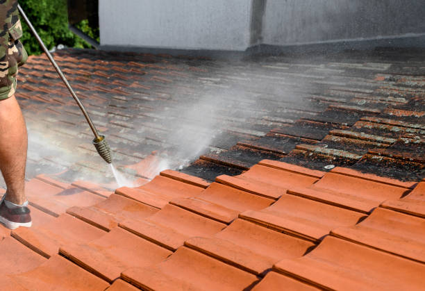 Professional Pressure Washing in Bear Creek, FL