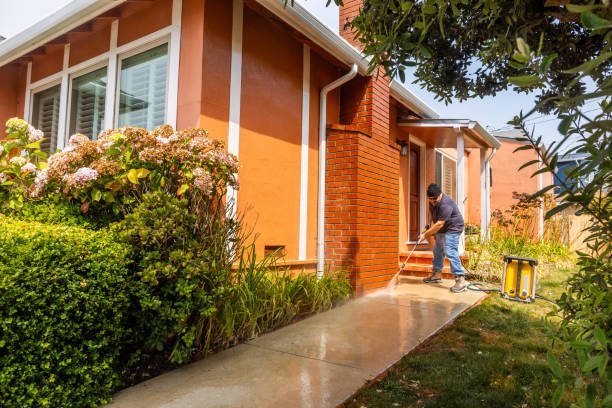 Best Affordable Power Washing  in Bear Creek, FL