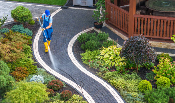 Best Roof Power Washing Services  in Bear Creek, FL